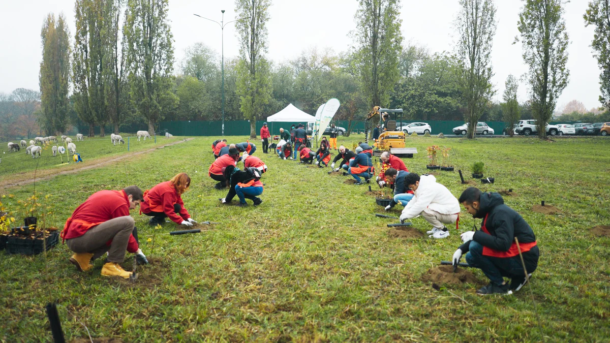 141122 - Torino_Conad_2.24.1.POST.jpg